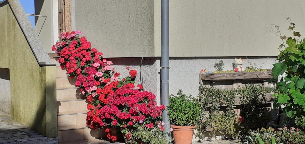Kelk Loznati Apartman Kültér fotó